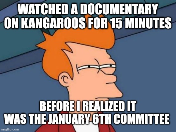 Futurama Fry | WATCHED A DOCUMENTARY ON KANGAROOS FOR 15 MINUTES; BEFORE I REALIZED IT WAS THE JANUARY 6TH COMMITTEE | image tagged in memes,futurama fry | made w/ Imgflip meme maker