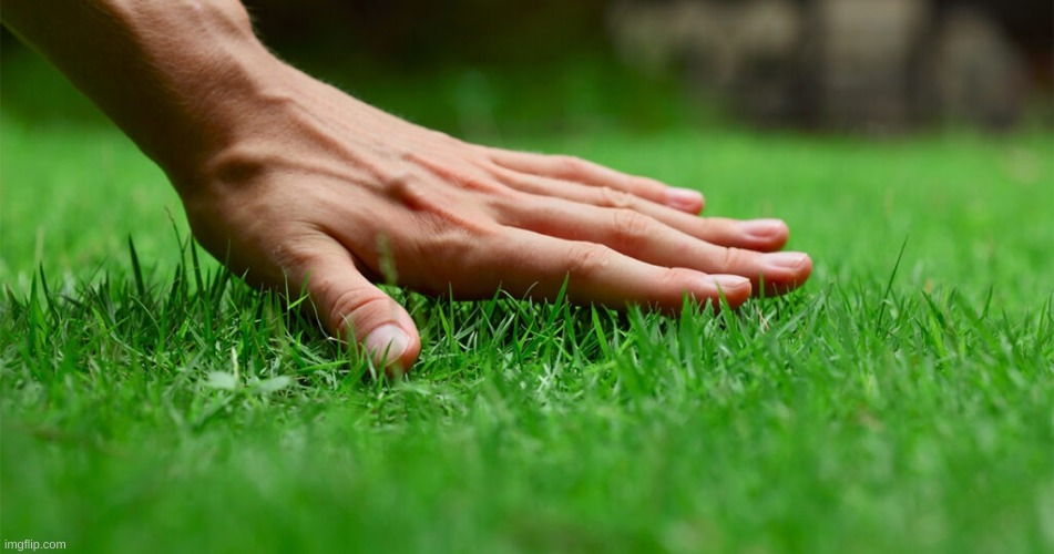 Go Touch Grass Template | image tagged in go touch grass template | made w/ Imgflip meme maker