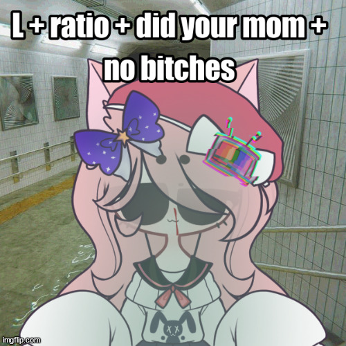 it's kitty Q again!! | made w/ Imgflip meme maker