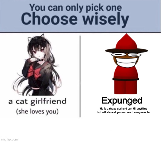 which one tho? hmmmmmm |  Expunged; He is a chaos god and can kill anything but will also call you a coward every minute | image tagged in choose wisely,fnf,dave and bambi,sus,gaming | made w/ Imgflip meme maker