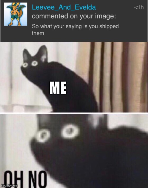 I GOTTA RUN- | ME | image tagged in oh no cat | made w/ Imgflip meme maker