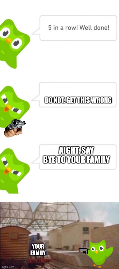 Aight | DO NOT. GET THIS WRONG; AIGHT, SAY BYE TO YOUR FAMILY; YOUR FAMILY | image tagged in duolingo 5 in a row,it was time for thomas to leave,things duolingo teaches you | made w/ Imgflip meme maker