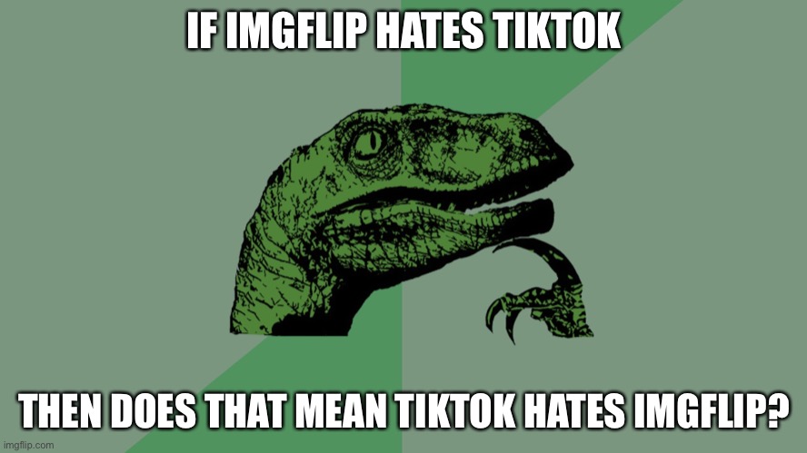 Who knows | IF IMGFLIP HATES TIKTOK; THEN DOES THAT MEAN TIKTOK HATES IMGFLIP? | image tagged in philosophy dinosaur | made w/ Imgflip meme maker
