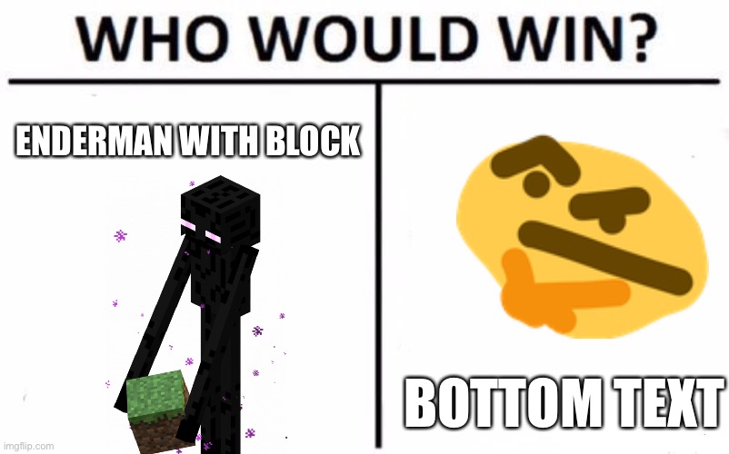 Who Would Win? | ENDERMAN WITH BLOCK; BOTTOM TEXT | image tagged in memes,who would win | made w/ Imgflip meme maker