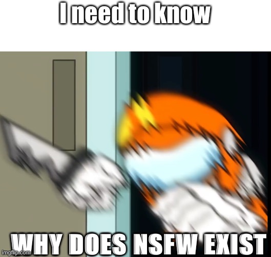 Broken Socksfor1 | I need to know; WHY DOES NSFW EXIST | image tagged in broken socksfor1 | made w/ Imgflip meme maker