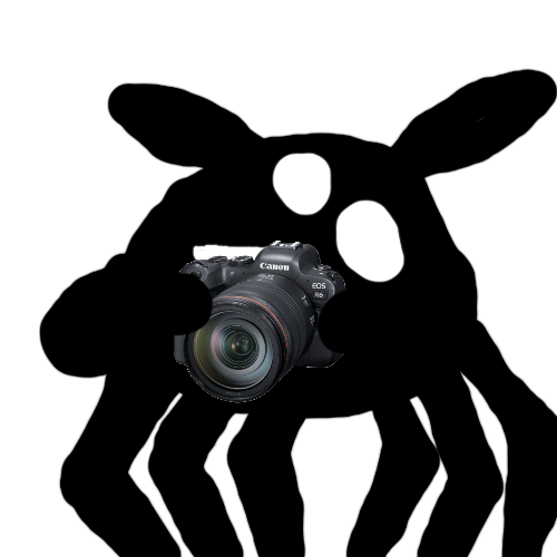 Le Idiot with a camera Blank Meme Template