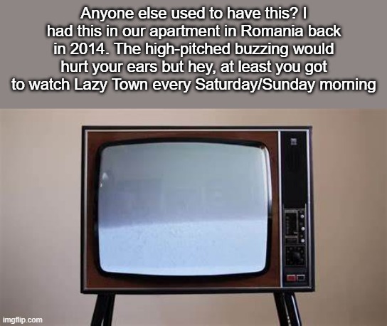 Anyone else used to have this? I had this in our apartment in Romania back in 2014. The high-pitched buzzing would hurt your ears but hey, at least you got to watch Lazy Town every Saturday/Sunday morning | made w/ Imgflip meme maker