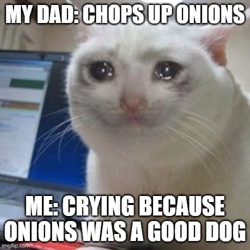 lol upvote pls | MY DAD: CHOPS UP ONIONS; ME: CRYING BECAUSE ONIONS WAS A GOOD DOG | image tagged in crying cat | made w/ Imgflip meme maker