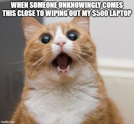 Well i mean i was 19 f**king years old when that happened someone nearly destroying that WAS I NOT | WHEN SOMEONE UNKNOWINGLY COMES THIS CLOSE TO WIPING OUT MY $500 LAPTOP | image tagged in scared cat,memes,computer,relatable,idiot,excuses | made w/ Imgflip meme maker