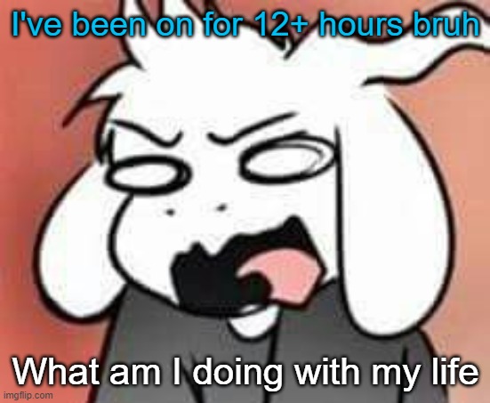 Asriel scream | I've been on for 12+ hours bruh; What am I doing with my life | image tagged in asriel scream | made w/ Imgflip meme maker