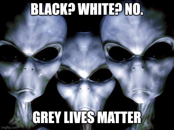They exclude us all | BLACK? WHITE? NO. GREY LIVES MATTER | image tagged in grey aliens | made w/ Imgflip meme maker