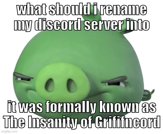 ougfhkjhuiufycgvbnhjuiytugfbhjyutryfgcbvhjyugfhv | what should i rename my discord server into; it was formally known as The Insanity of Grififncord | image tagged in memes,funny,pig,discord,server,name | made w/ Imgflip meme maker
