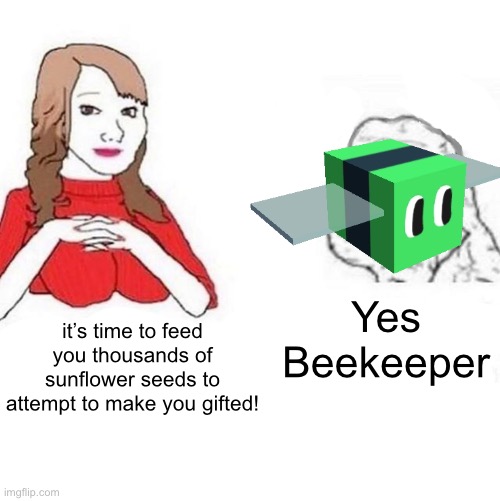 JUST BECOME GIFTED | Yes Beekeeper; it’s time to feed you thousands of sunflower seeds to attempt to make you gifted! | image tagged in yes honey | made w/ Imgflip meme maker