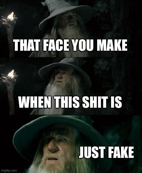 Confused Gandalf Meme | THAT FACE YOU MAKE; WHEN THIS SHIT IS; JUST FAKE | image tagged in memes,confused gandalf | made w/ Imgflip meme maker