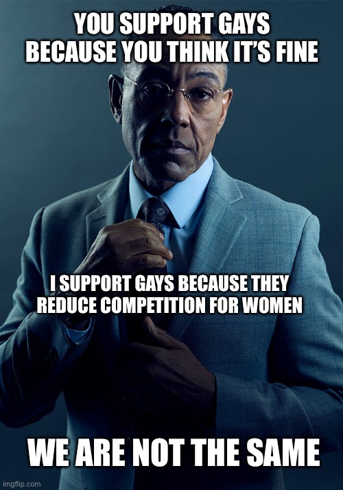 Gus Fring we are not the same | YOU SUPPORT GAYS BECAUSE YOU THINK IT’S FINE; I SUPPORT GAYS BECAUSE THEY REDUCE COMPETITION FOR WOMEN; WE ARE NOT THE SAME | image tagged in gus fring we are not the same | made w/ Imgflip meme maker