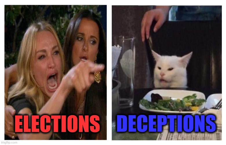 UNVOTE | DECEPTIONS; ELECTIONS | image tagged in smudge revise,smudge the cat,smudge,politics,election,deception | made w/ Imgflip meme maker