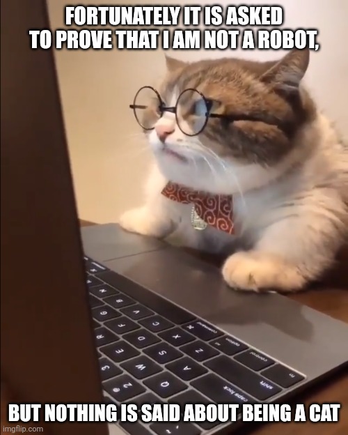 Computers cat | FORTUNATELY IT IS ASKED TO PROVE THAT I AM NOT A ROBOT, BUT NOTHING IS SAID ABOUT BEING A CAT | image tagged in research cat | made w/ Imgflip meme maker