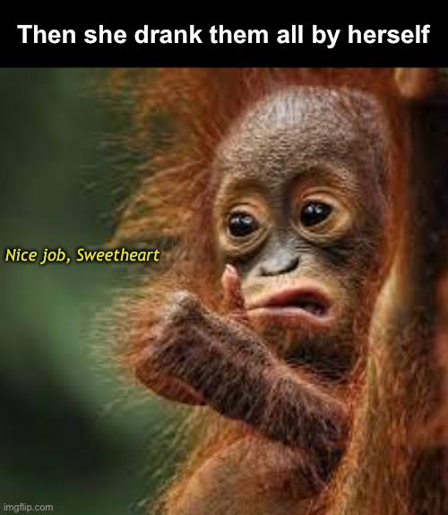 Nice job, Sweetheart Then she drank them all by herself | made w/ Imgflip meme maker