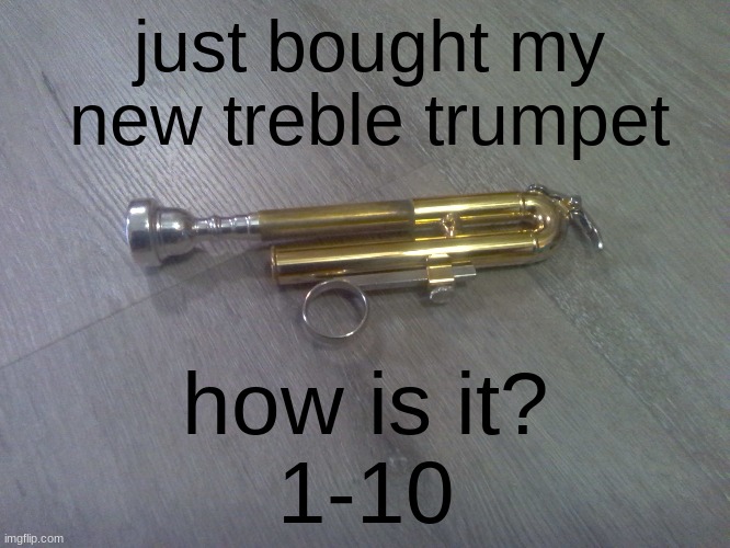 Treble Trumpet |  just bought my new treble trumpet; how is it?

1-10 | image tagged in trumpet,instruments,random,gaming,fun | made w/ Imgflip meme maker