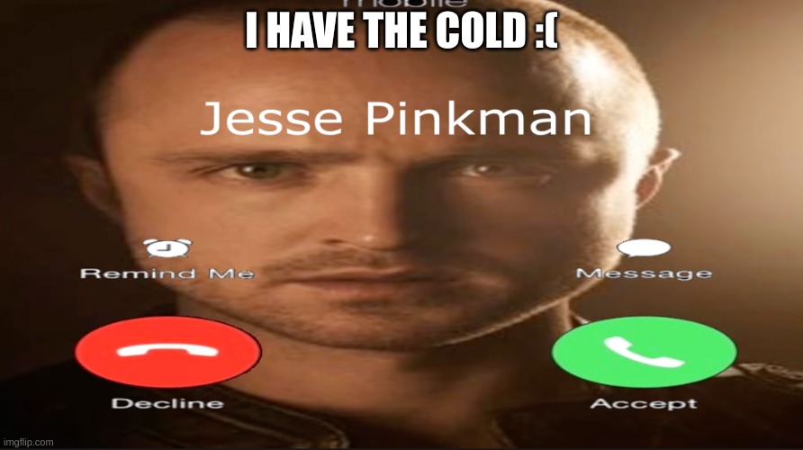 Incoming call | I HAVE THE COLD :( | image tagged in incoming call | made w/ Imgflip meme maker