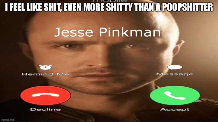 Incoming call | I FEEL LIKE SHIT, EVEN MORE SHITTY THAN A POOPSHITTER | image tagged in incoming call | made w/ Imgflip meme maker