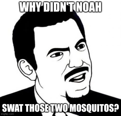 Seriously Face | WHY DIDN'T NOAH; SWAT THOSE TWO MOSQUITOES? | image tagged in memes,seriously face | made w/ Imgflip meme maker