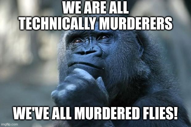 I'm a murderer | WE ARE ALL TECHNICALLY MURDERERS; WE'VE ALL MURDERED FLIES! | image tagged in deep thoughts,murder,flies | made w/ Imgflip meme maker
