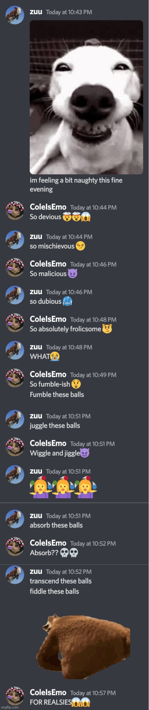 Late night tomfoolery discord | image tagged in discord | made w/ Imgflip meme maker