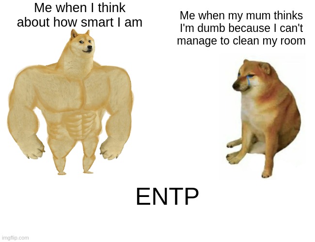 Buff Doge vs. Cheems Meme | Me when I think about how smart I am; Me when my mum thinks
I'm dumb because I can't
manage to clean my room; ENTP | image tagged in memes,buff doge vs cheems,entp,myers briggs,mbti,personality | made w/ Imgflip meme maker