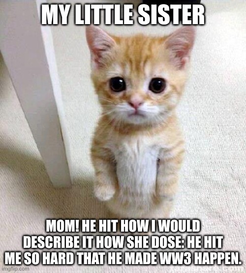 Cute Cat Meme | MY LITTLE SISTER; MOM! HE HIT HOW I WOULD DESCRIBE IT HOW SHE DOSE: HE HIT ME SO HARD THAT HE MADE WW3 HAPPEN. | image tagged in memes,cute cat | made w/ Imgflip meme maker