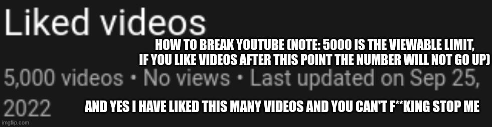 Im an inside person ok... | HOW TO BREAK YOUTUBE (NOTE: 5000 IS THE VIEWABLE LIMIT, IF YOU LIKE VIDEOS AFTER THIS POINT THE NUMBER WILL NOT GO UP); AND YES I HAVE LIKED THIS MANY VIDEOS AND YOU CAN'T F**KING STOP ME | image tagged in youtube,covid sucks,don judge me | made w/ Imgflip meme maker