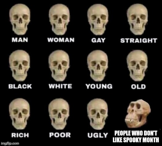 idiot skull | PEOPLE WHO DON'T LIKE SPOOKY MONTH | image tagged in idiot skull,spooky,spooky month | made w/ Imgflip meme maker