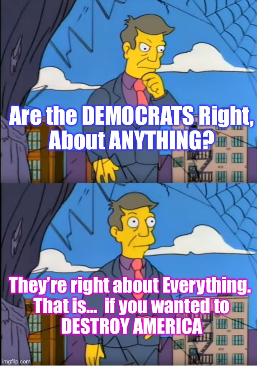 Well, that’s ONE, for their side | Are the DEMOCRATS Right,
About ANYTHING? They’re right about Everything. 
That is…  if you wanted to
DESTROY AMERICA | image tagged in skinner out of touch | made w/ Imgflip meme maker