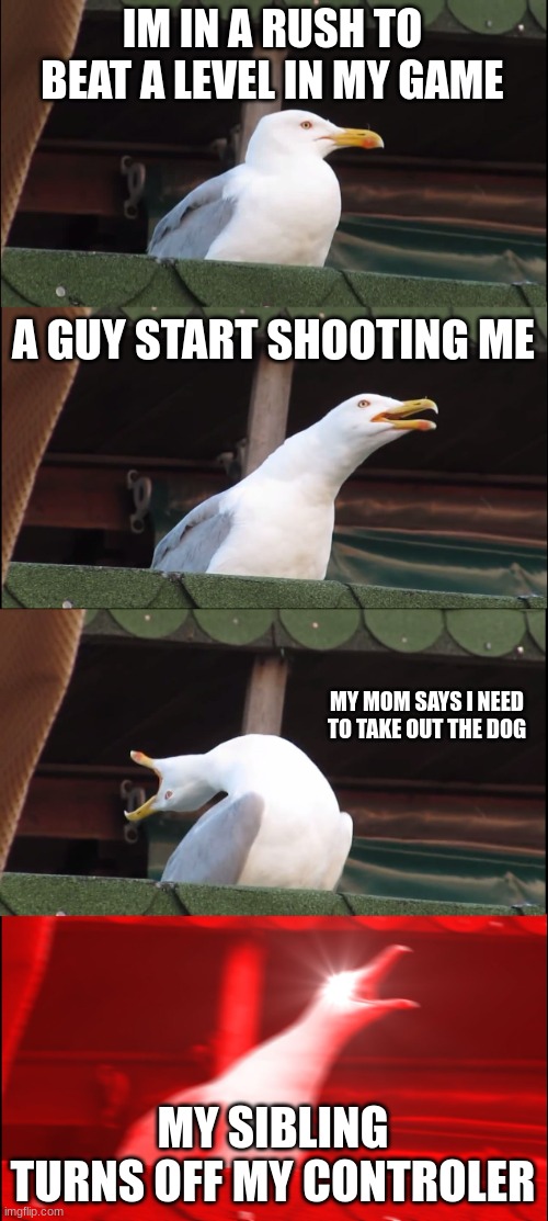 NO BREAKS!!! | IM IN A RUSH TO BEAT A LEVEL IN MY GAME; A GUY START SHOOTING ME; MY MOM SAYS I NEED TO TAKE OUT THE DOG; MY SIBLING TURNS OFF MY CONTROLER | image tagged in memes,inhaling seagull | made w/ Imgflip meme maker