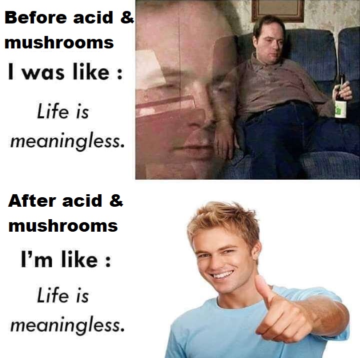 lifeismeaningless Blank Meme Template
