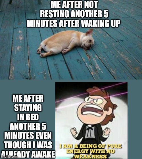 I need the five minutes!!! | ME AFTER NOT RESTING ANOTHER 5 MINUTES AFTER WAKING UP; ME AFTER STAYING IN BED ANOTHER 5 MINUTES EVEN THOUGH I WAS ALREADY AWAKE | image tagged in tired dog,sleep | made w/ Imgflip meme maker