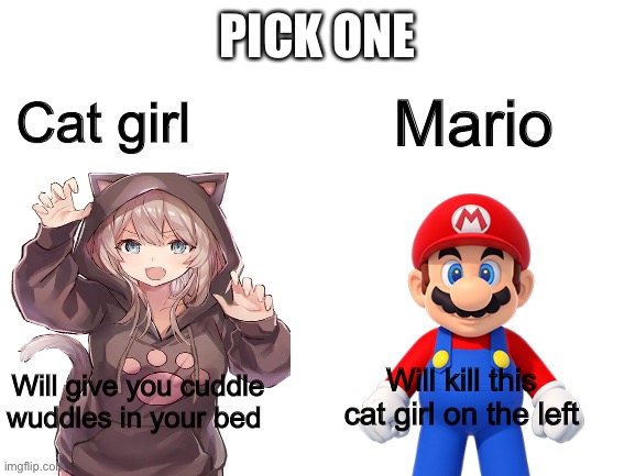 Blank White Template | PICK ONE; Mario; Cat girl; Will kill this cat girl on the left; Will give you cuddle wuddles in your bed | image tagged in blank white template | made w/ Imgflip meme maker