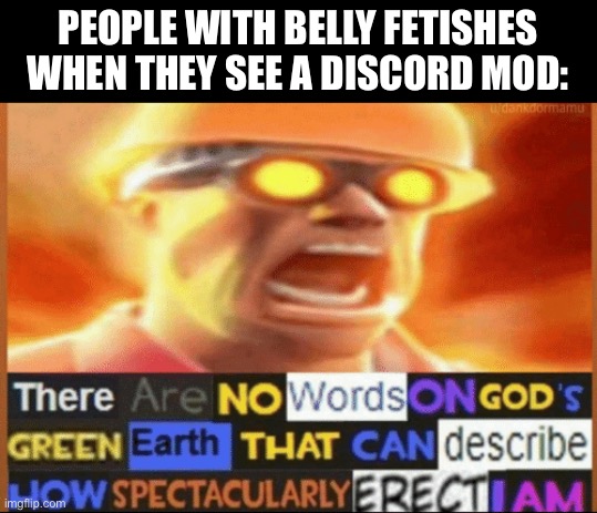 Stereotype  meme |  PEOPLE WITH BELLY FETISHES WHEN THEY SEE A DISCORD MOD: | image tagged in there are no words on god's green earth,fetish,belly,memes,why are you reading this | made w/ Imgflip meme maker