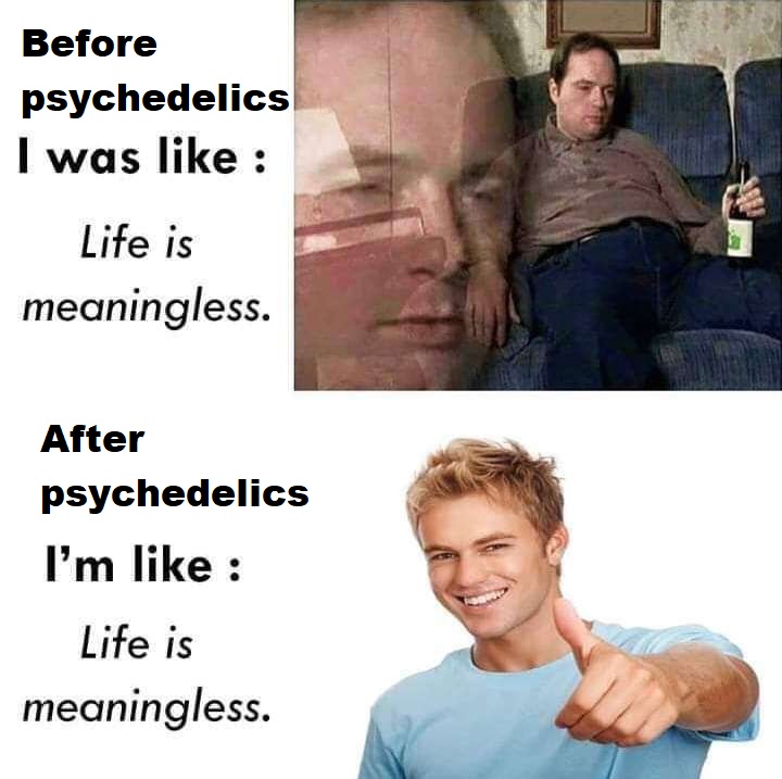 lifeismeaningless Blank Meme Template