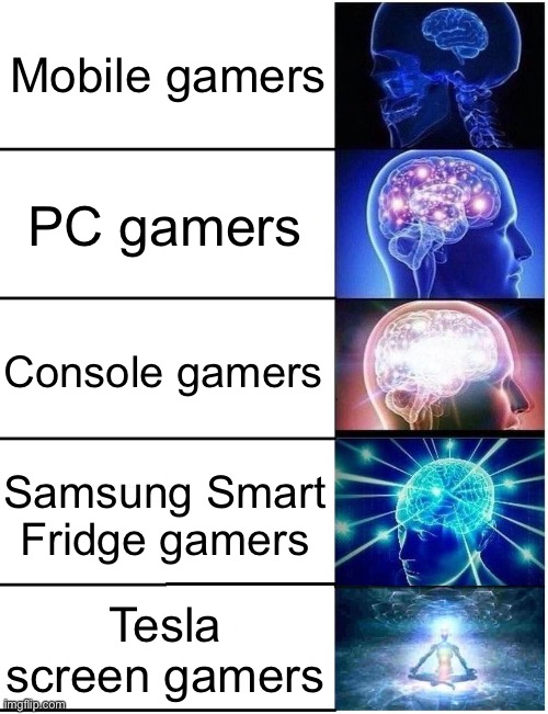 Aint anybody gonna talk about them | Mobile gamers; PC gamers; Console gamers; Samsung Smart Fridge gamers; Tesla screen gamers | image tagged in gamers | made w/ Imgflip meme maker