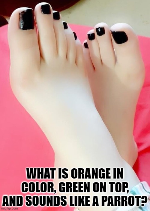 WHAT IS ORANGE IN COLOR, GREEN ON TOP, AND SOUNDS LIKE A PARROT? | image tagged in riddle,feet | made w/ Imgflip meme maker