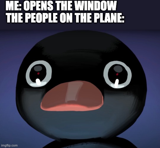 oops | ME: OPENS THE WINDOW; THE PEOPLE ON THE PLANE: | image tagged in pingu stare,telepurte noot noot,plane,window,meme,memes | made w/ Imgflip meme maker