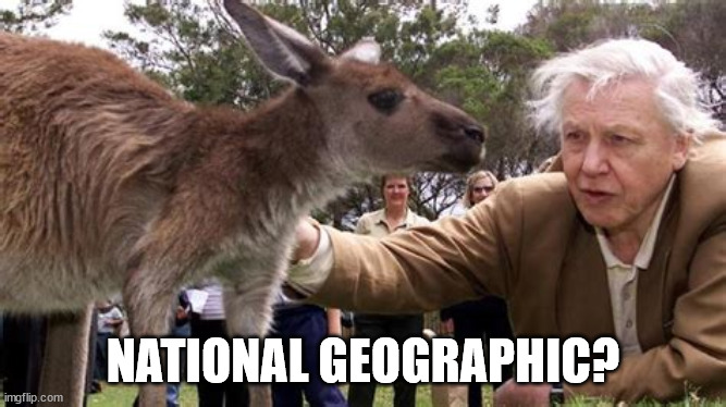 NATIONAL GEOGRAPHIC? | made w/ Imgflip meme maker