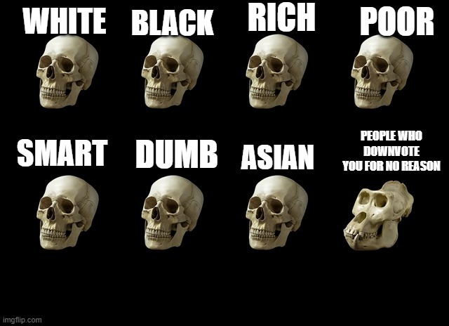 Skull | BLACK; RICH; POOR; WHITE; PEOPLE WHO DOWNVOTE YOU FOR NO REASON; SMART; DUMB; ASIAN | image tagged in skull | made w/ Imgflip meme maker