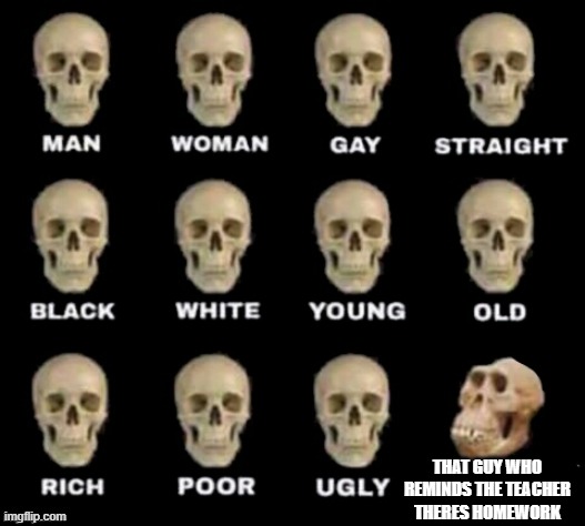 idiot skull | THAT GUY WHO REMINDS THE TEACHER THERES HOMEWORK | image tagged in idiot skull | made w/ Imgflip meme maker