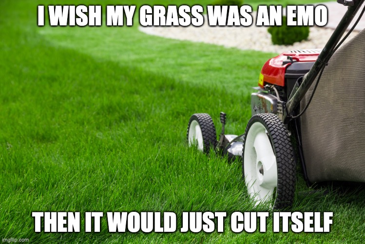 imaginative title | I WISH MY GRASS WAS AN EMO; THEN IT WOULD JUST CUT ITSELF | image tagged in lawn mower | made w/ Imgflip meme maker