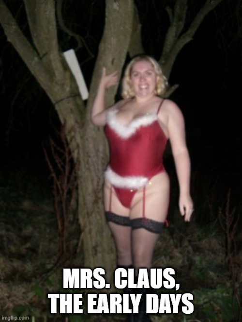 Ho Ho Ho...HOE | MRS. CLAUS, THE EARLY DAYS | image tagged in milf | made w/ Imgflip meme maker