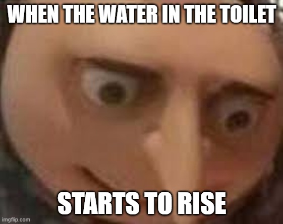 Gru Face | WHEN THE WATER IN THE TOILET; STARTS TO RISE | image tagged in gru face | made w/ Imgflip meme maker