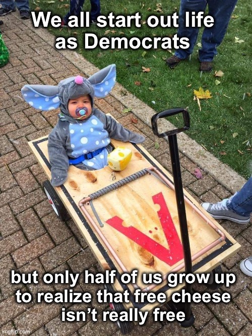 The cheese is never free… | We all start out life 
as Democrats; but only half of us grow up 
to realize that free cheese 
isn’t really free | image tagged in cheese | made w/ Imgflip meme maker