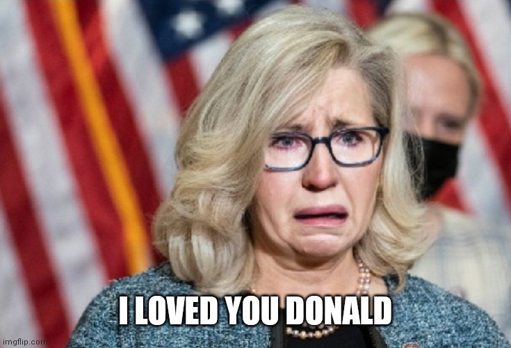 Liz Cheney | I LOVED YOU DONALD | image tagged in liz cheney | made w/ Imgflip meme maker